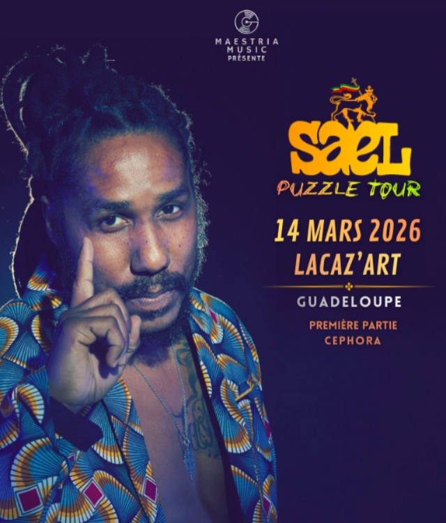 971 - Puzzle Tour - Saël en concert live
